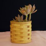 Bamboo Planter
