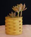 Bamboo Planter & Organizer