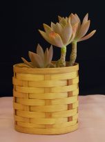 Planter