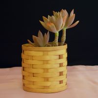 Bamboo Planter & Organizer