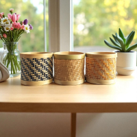 Bamboo Planter & Organizer