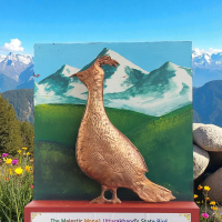 Hand Crafted Copper Monal Bird Souvenir